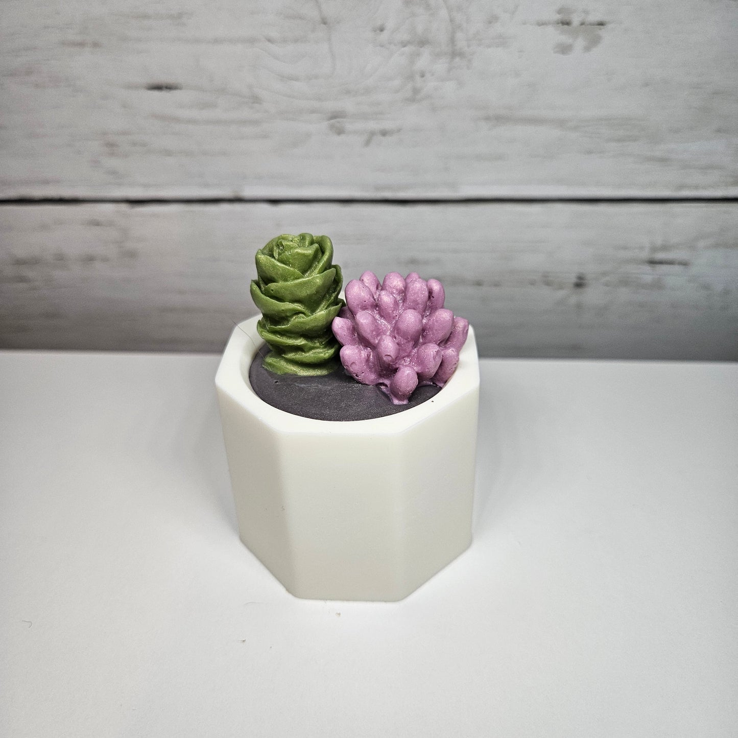 Succulent Soap